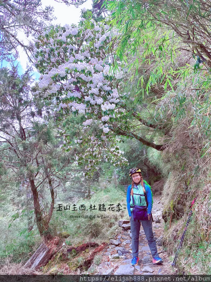 【玉山主峰西峰.兩天兩夜】冷到爆炸的玉山主峰賞雲海/一直走花