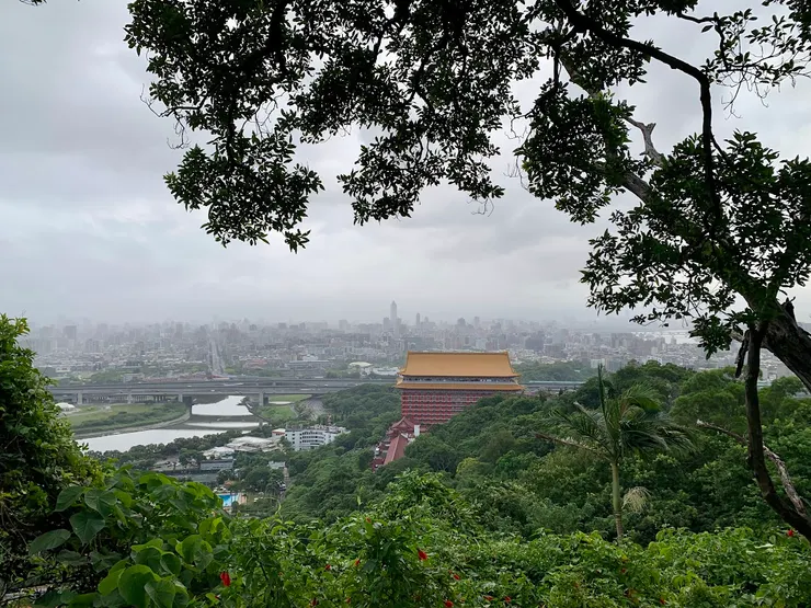 清晨後山登高望遠