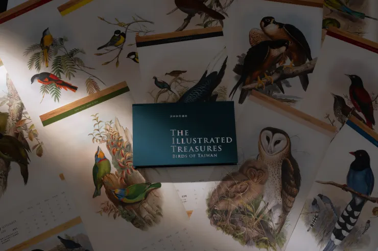 《臺灣珍鳥重現》書封與月曆們，質感爆棚（大家出版提供）