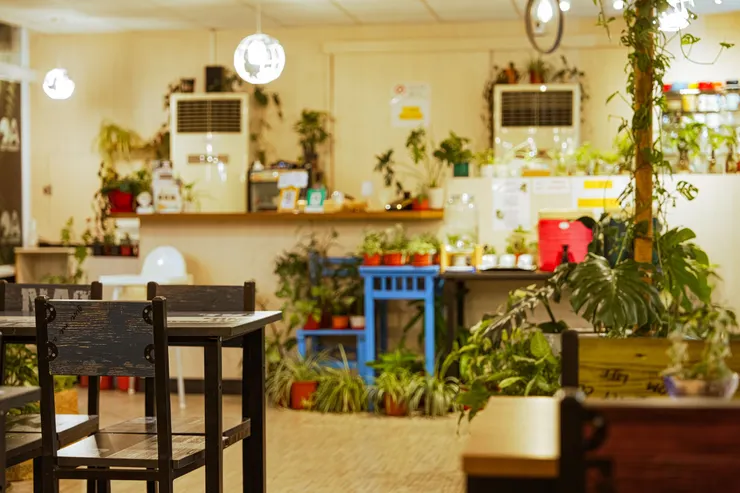 台東美食推薦😋/OA Restaurant 複合式餐廳:很Chill的背後,是一份用心🫂 #祝福花東🇹🇼 #義大利麵推薦 #肉醬 #焗烤麵包 #青醬 #我來開箱