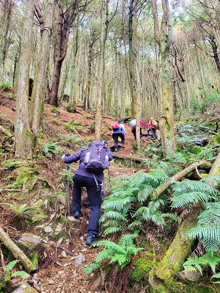 ▲11:28由2.3K登山口起登