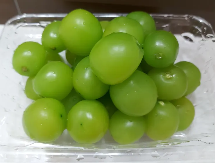 昂貴的麝香葡萄