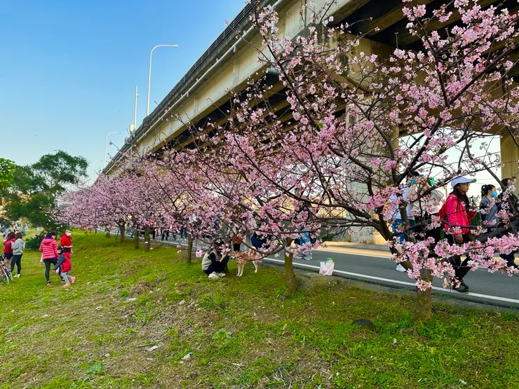 位於高架橋下的頭前溪運動公園，有天然遮陰不炎熱