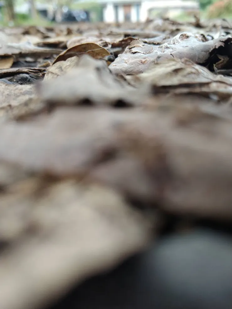 回憶總藏在任何一個角落