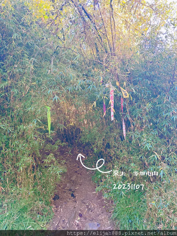 【帝王之山4天3夜】南湖大山之多加屯山/方便屋洗漱/最終日/