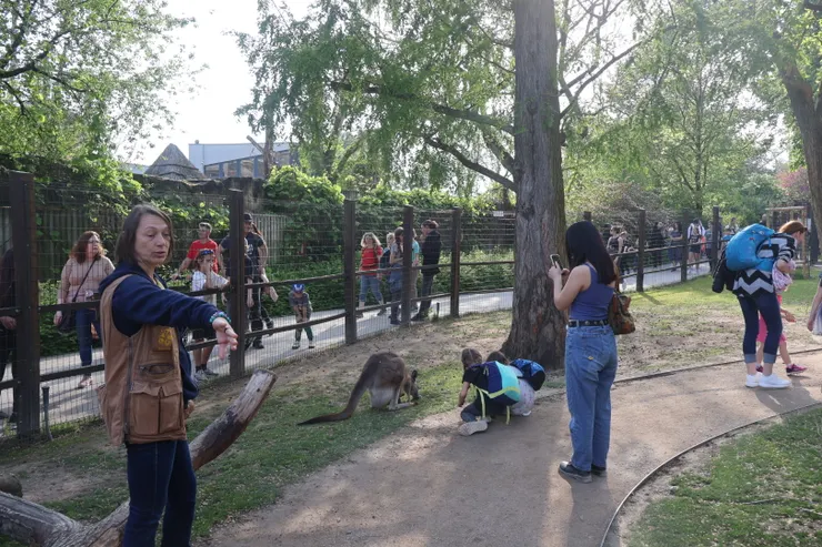 還有第一線袋鼠步道可以走進去