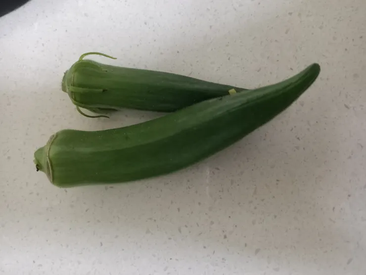 巡菜園採的，但...後來發現我眼殘，不止兩根秋葵🤣，不小心讓秋葵長太老，不能吃了！