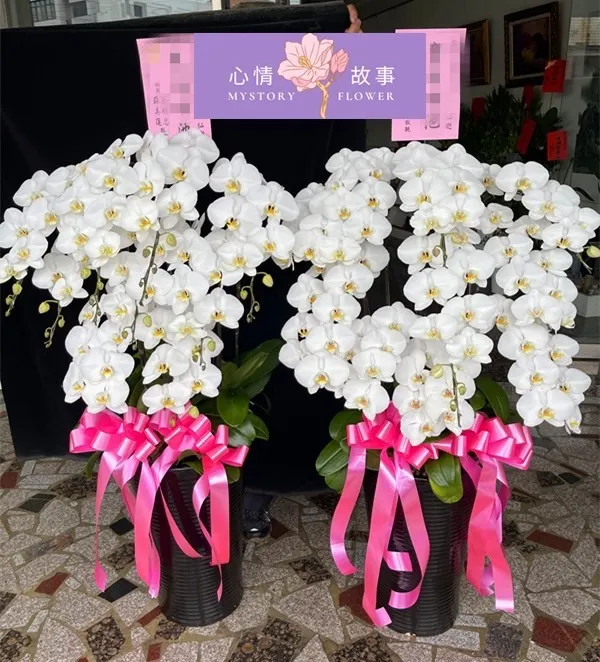 #台南花店 #鮮花 #蘭花 #玫瑰花 #永生花 #多肉植物 #盆栽 #花束 #花籃 #心情故事花房 