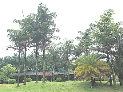src