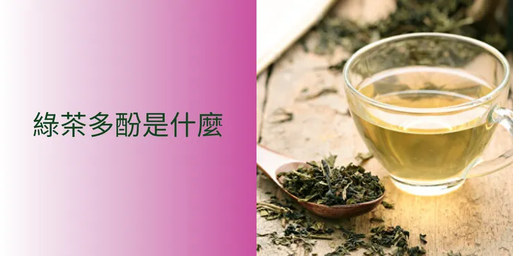 森崎SENGI-綠茶多酚是什麼?