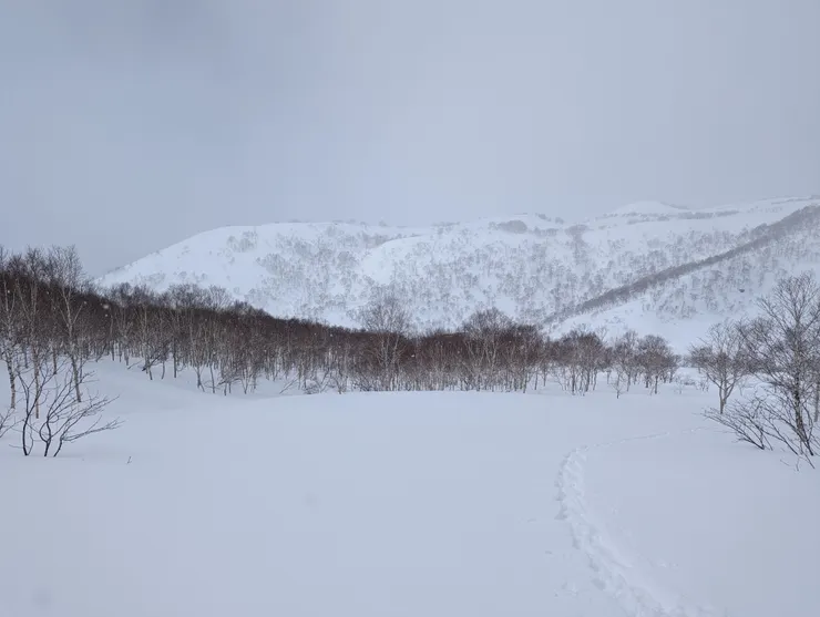 快感的世界是孤獨又銀白的