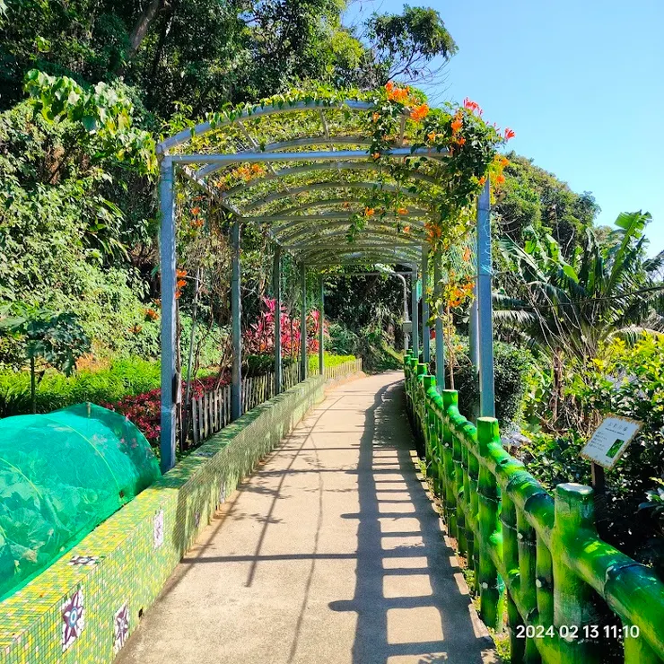 綠色長廊（圖片截圖於網路）