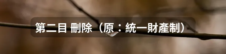 第二目 刪除(原:統一財產制)