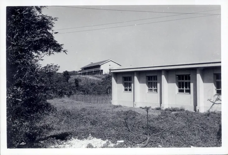 1960年，從舊化學所實驗室看蝌蚪山上剛落成的蔡元培館。（圖片來源：中央研究院）