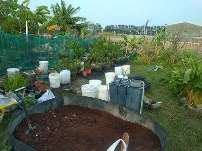 這是我的快樂農場