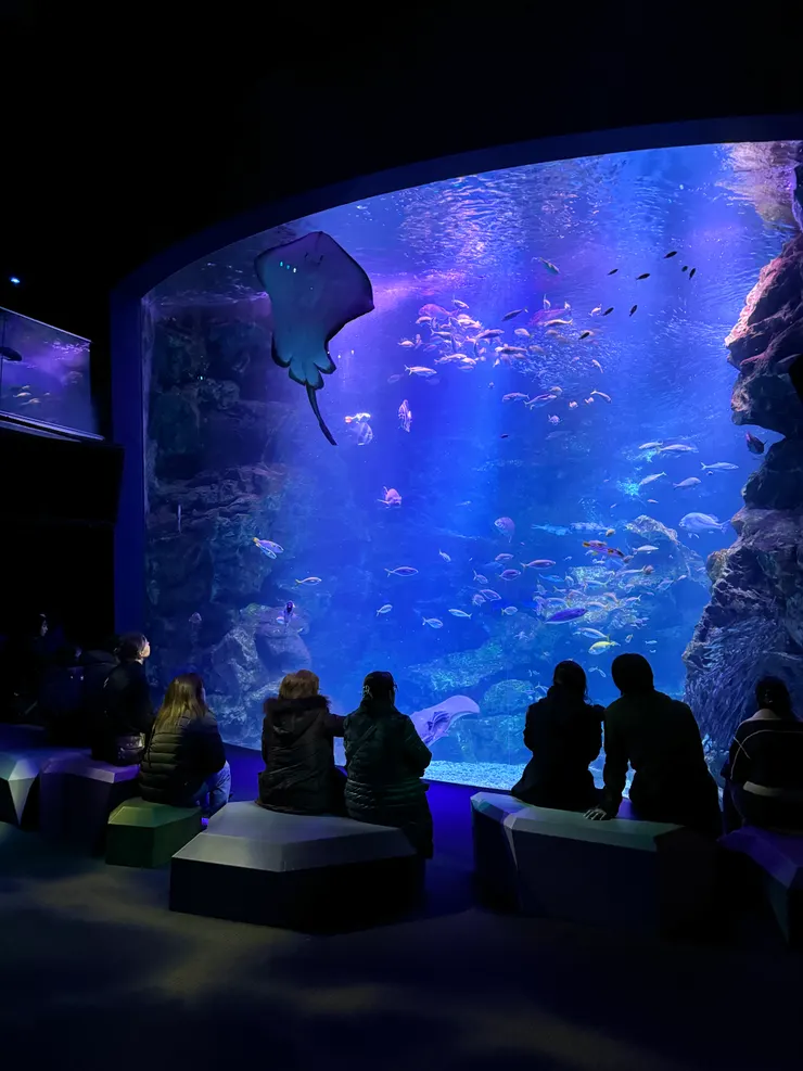 京都水族館