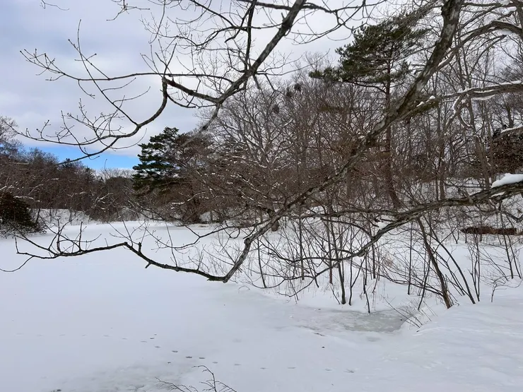 大沼國定公園．美如仙境