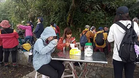 [新北美食]攻頂眺望鶯桃微笑山線、吃一碗百年大榕樹豆花，來一