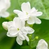 Ashley的文字天空