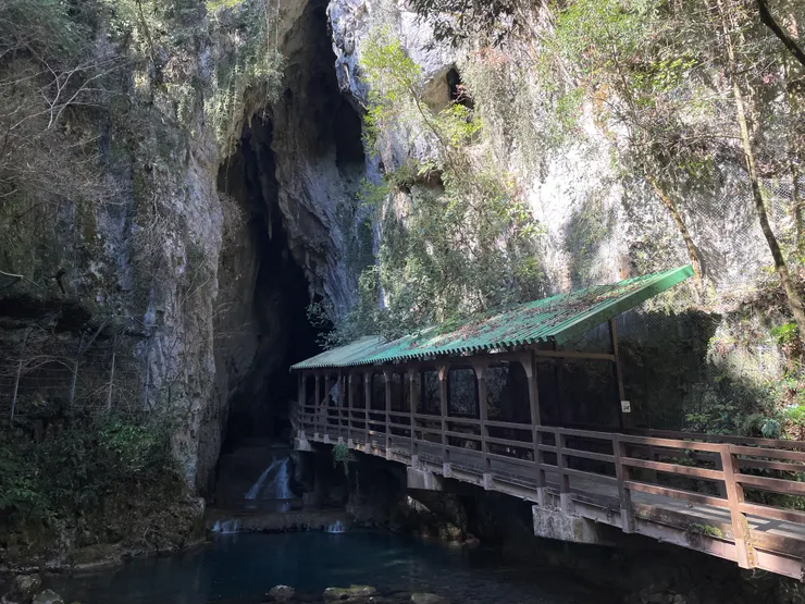 秋芳洞入口
