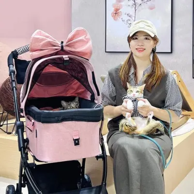 Nora諾拉 | 哈醬・蜜醬的沙龍