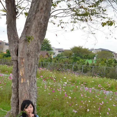 網美餐廳+素食介紹 FANSONE