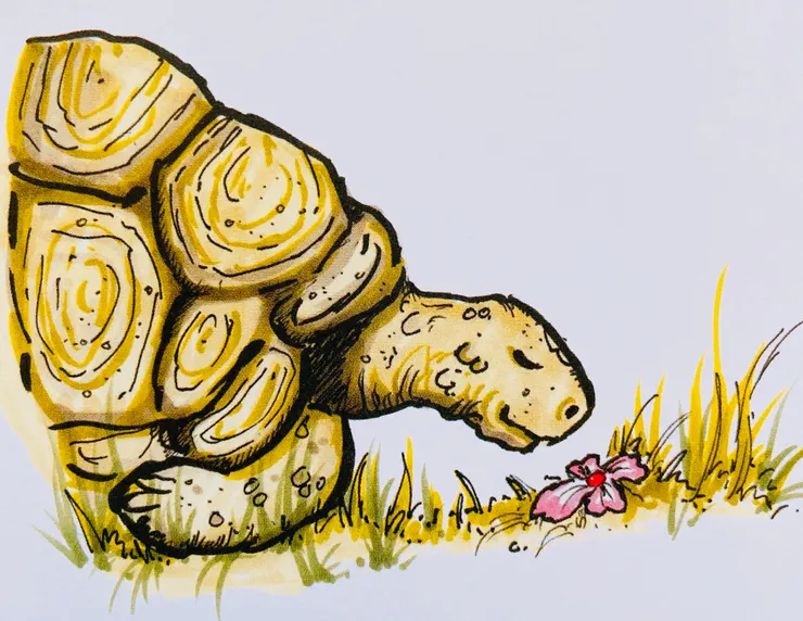 每一瞬間都是一處獨特的地點,在這個專屬於你的世界。把握當下去好好品味,因為你只會走這一遭