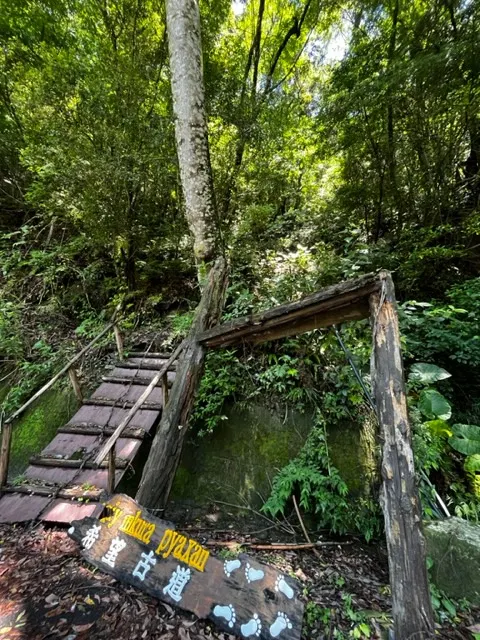 希望不用爬就可以有希望(哈