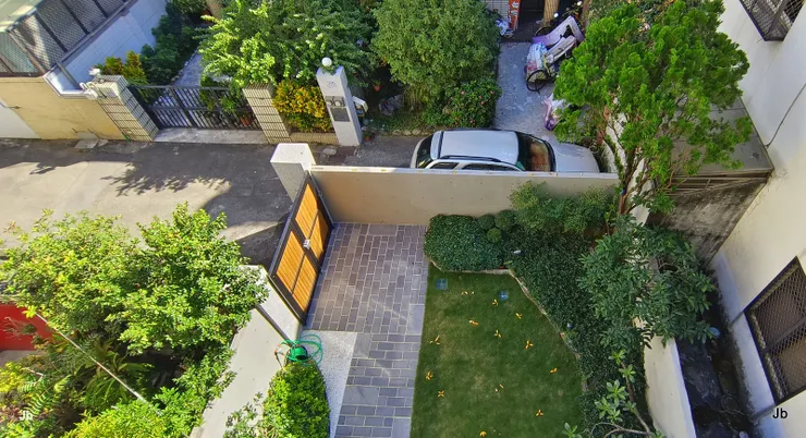 從3樓陽台觀賞主樹與它統領的庭園