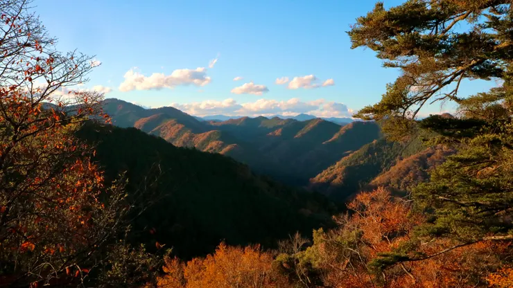 半山腰眺望的景色