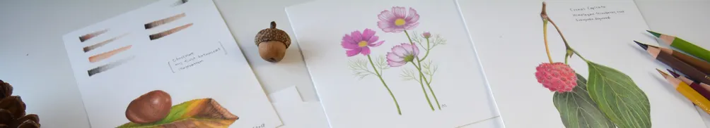 星星的華麗冒險