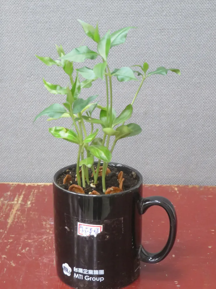 大安社大112.07.07