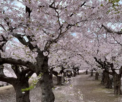 阿龜的生活日記