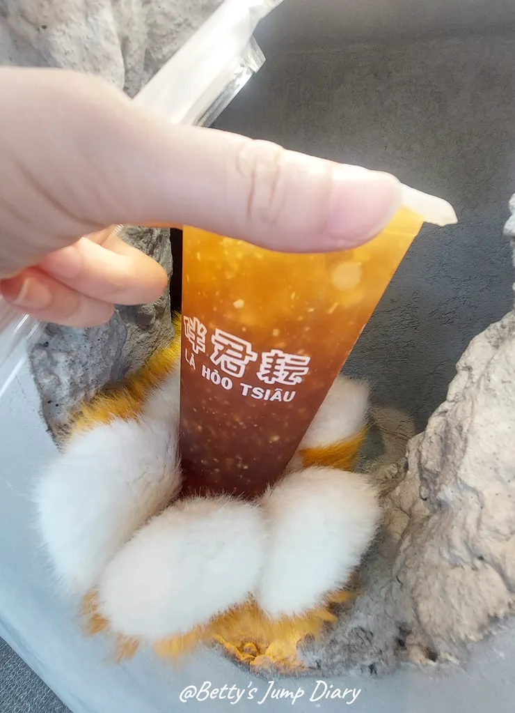 ▲「伴君耘」 Lahoosuann｜竹北春芽洞/圖片來源：Betty's Jump Diary