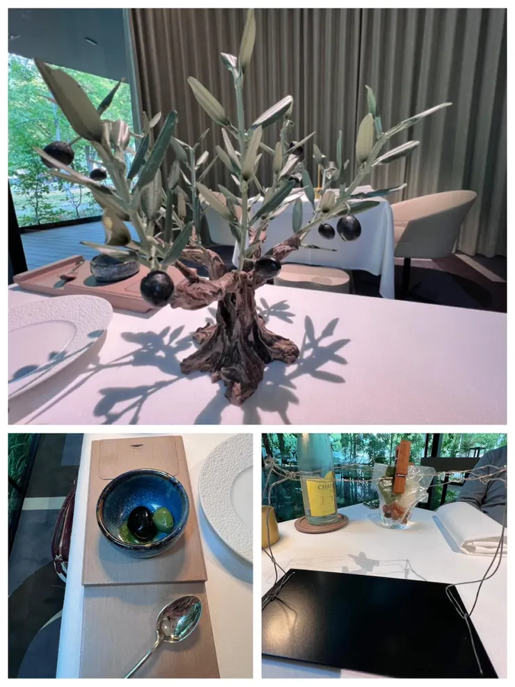 為了一粒橄欖 ,送上來一棵樹