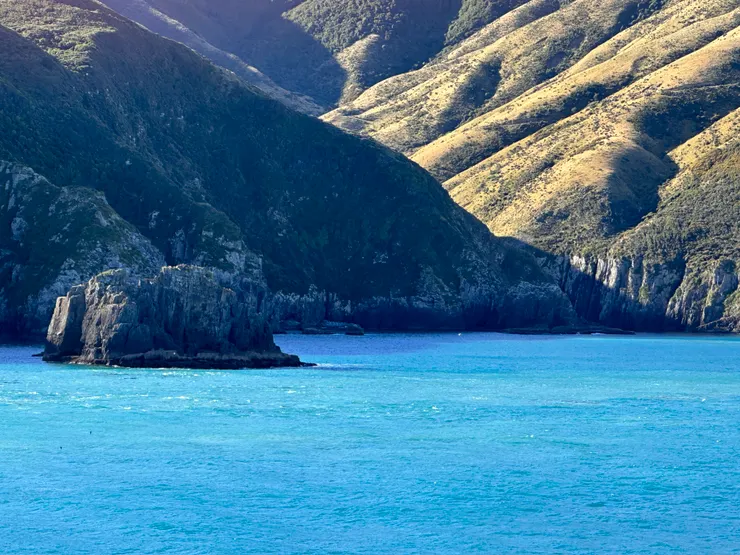 大船緩緩駛出Marlborough峽灣，這一片美景真的是搭飛機無法親眼目睹的感動。