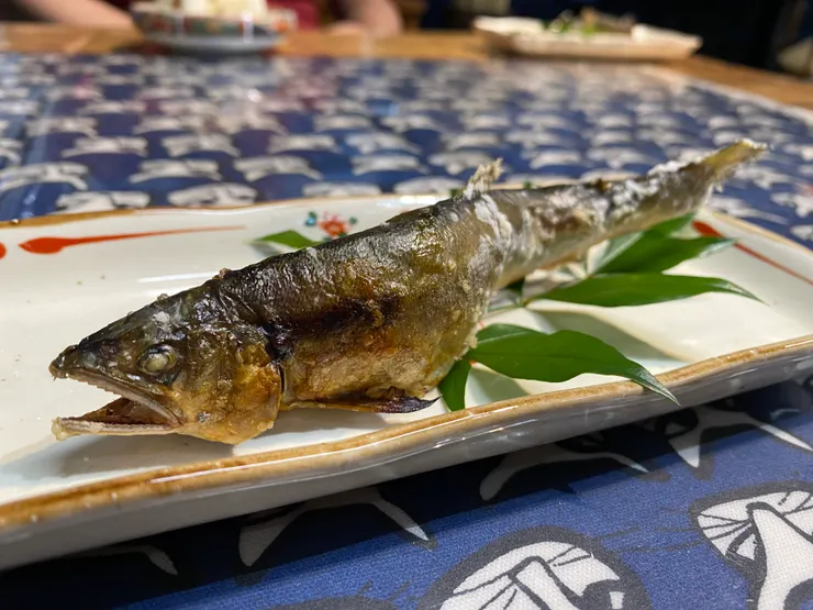 晚餐的香魚就是出自老闆之手，釣+烤。這邊的水質很好魚很好吃味道也特別香