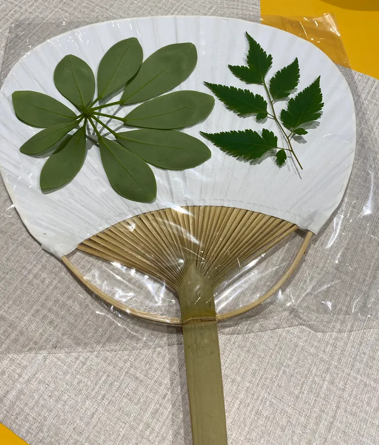 利用葉片在扇子上做編排