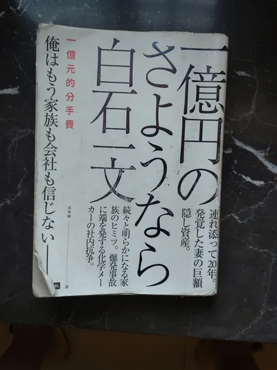 感覺是題文不符的一本書