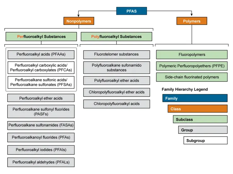 圖二  PFAS家族