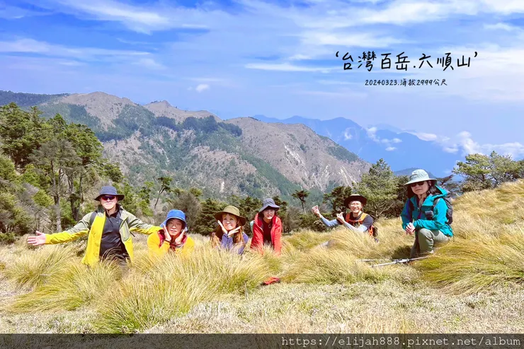 【丹大林道.六順山.七彩湖】六順山.海拔3009公尺/波波草