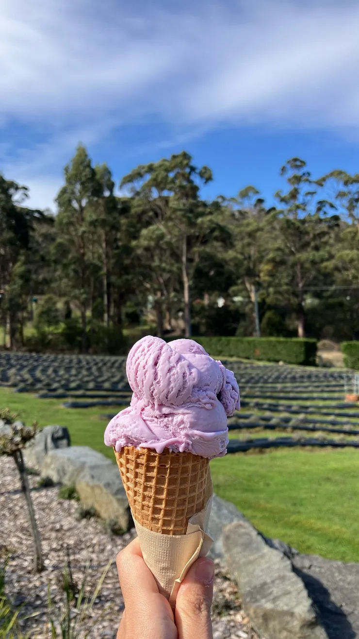 愜意的薰衣草花園