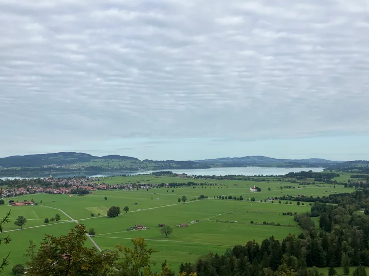 新天鵝堡陽台望出去的風景
