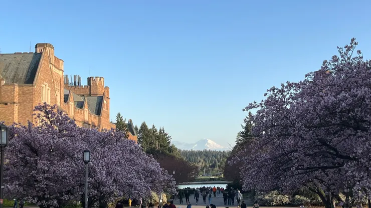 山很像是P上去的。