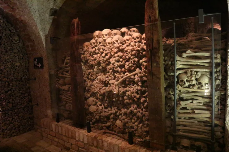 也是有不同部位的骨頭，不是只有頭骨