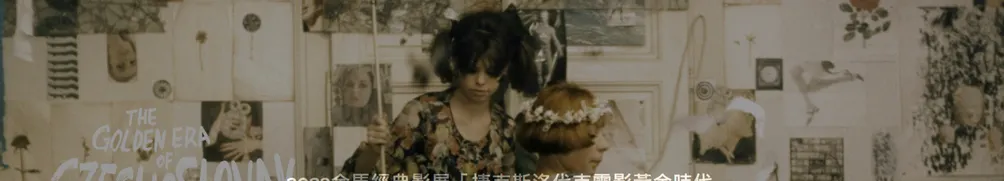 卵生水筆仔的沙龍