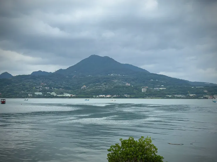 殼牌故事館後方直接臨淡水河，近距離欣賞水筆仔與眺望遠方的觀音山