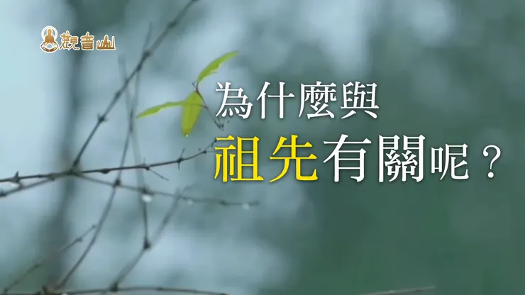 工作、家庭不順為什麼與祖先有關呢？｜觀音山 中元普度‧盂蘭盆法會