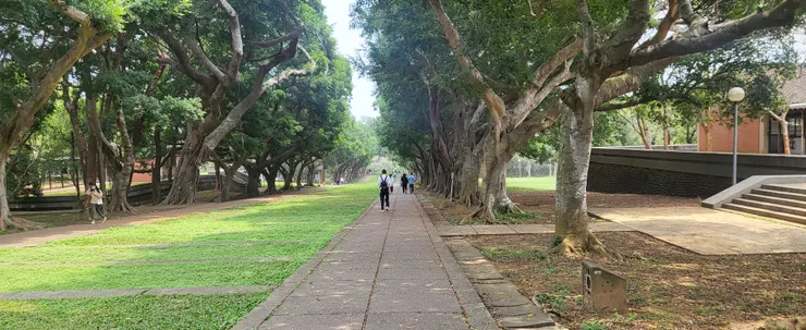 文理大道(李建崑攝影)