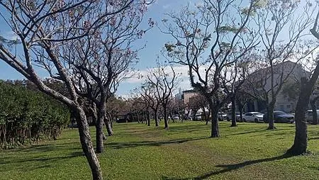 [宜蘭旅遊]宜蘭運動公園，運動設施機能完善、大面積、風景特佳